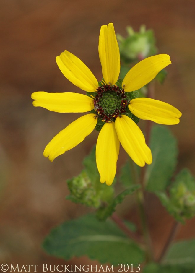 8630661178_86432d2be1_o